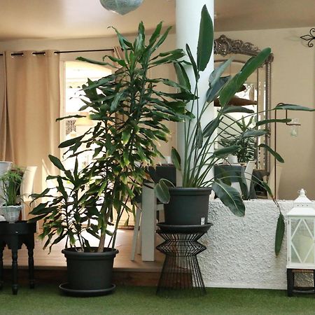Chambre D'Hotes Villa Ambrosia Et Spa Narbonne Ngoại thất bức ảnh